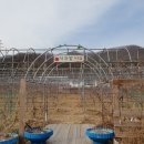 미리네농장 이미지