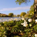 호숫가의 풍경 이미지