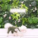 펜션 후 이미지