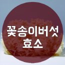 꽃송이버섯 효소 무슨 효과가 있길래 이미지