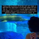 오소하 이미지