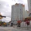 용인보건당약국 이미지