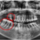 리라이브치과의원 이미지
