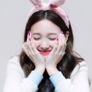 댕댕이 유치원 이미지