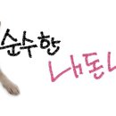 공물소