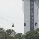 화사한 이미지