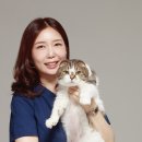베스트고양이병원 이미지