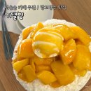 빙아이스크림 - 성남시 수정구 공원로339번길 14 | 서울숲 카페 추천, 빙수 전문점 '기댈빙' 망고빙수 내돈내산 후기