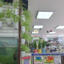 천지당약국 이미지