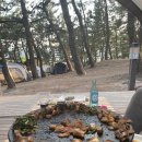 맹방비치캠핑장 이미지