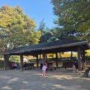 지에스(GS)25일산호수마을점 | 깨비의 숲마을 - 일산호수공원 숲체험 5세 후기