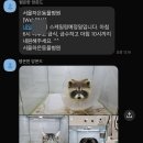 하은동물병원 네이버블로그