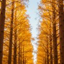 두륜산관광펜션 | 가족·커플 가을 여행 추천! 9월 전라도 3박 4일 완벽 일정 가이드