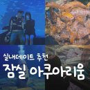 롯데월드아쿠아리움 | [실내 데이트] 잠실 롯데월드 아쿠아리움 후기｜입장료, 잉어 먹이주기, 포토존, 소요시간 총정리