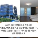울릉도탑투어 이미지