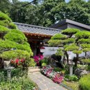 평범한날 행복한맛 이미지