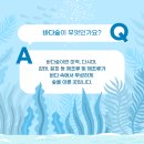 바다숲