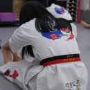 열정태권도 이미지