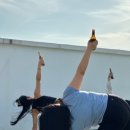미니비어&바
