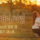 하나님의 교회 새노래_엘로히스트와 같이 보며 듣는 노래 #11 이미지