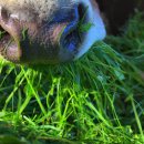 일환축사 이미지