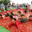 번개 퇴촌 토마토 축제 이미지