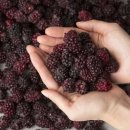 블랙베리마켓 이미지