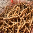 일철농장 이미지