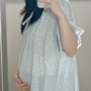 꿀뱀이 이미지