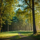 해남김치마을 | 해남땅끝마을 모노레일 땅끝전망대