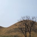 신라고분정보센터 화장실 | 경주 금관총과 신라고분정보센터ㅣ위치, 입장료, 알찼던 관람 후기