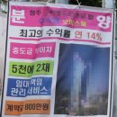 벌떼 이미지