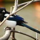 아이핏안경 이미지