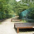 민주지산자연휴양림야영장 이미지