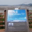 카페소금밭 네이버블로그