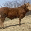 전북축산 이미지