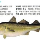 대구