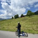 갑자약국 이미지