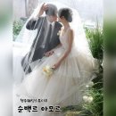 [W2]청주 웨딩스튜디오 순백르아모르 촬영 후기(보정본 첨부)