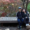산음요 이미지