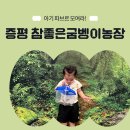 참좋은농장 | 증평투어패스로 즐긴 참좋은굼벵이 곤충농장, 아기와 함께한 곤충체험기