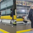 용인대창룡태권도 이미지