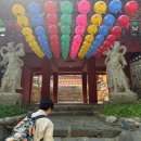 호평 천마산-2[호평-3] | 5월 행복 두배 템플스테이 후기 - 수진사 / 천마산 맛보기