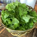 이가네화덕갈비 이미지