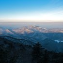 열정 - 화성시 | 열정