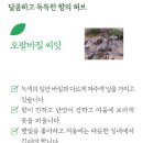 오팔농장 이미지