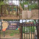 황방산생태야영장 이미지