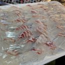 우두리 포펫 애견펜션 이미지