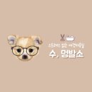 수멍발소 이미지