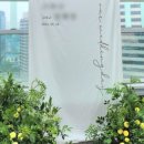 광목플랜 이미지